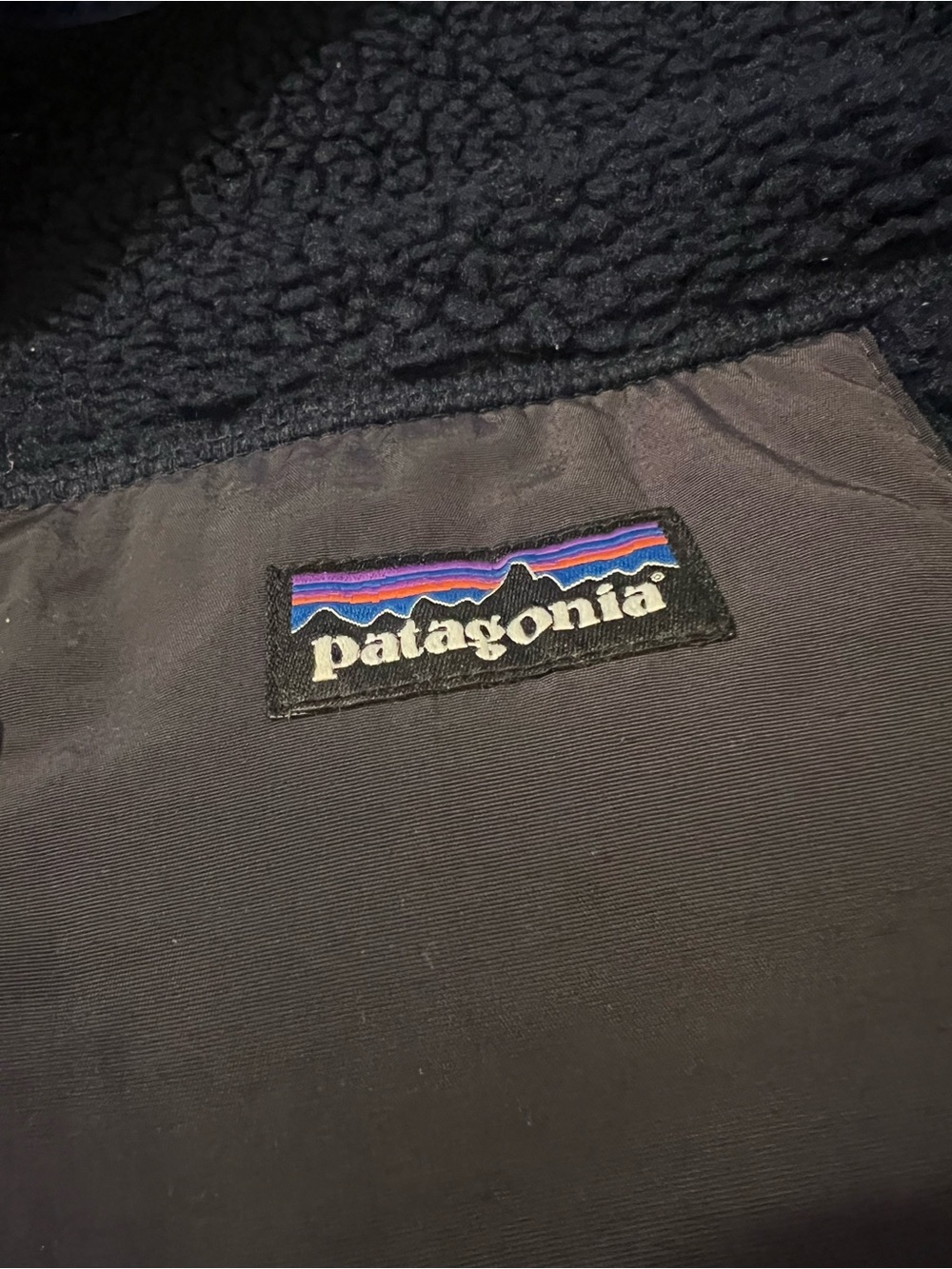 Patagonia Men’s Blue Vest with Patagonia  Logo